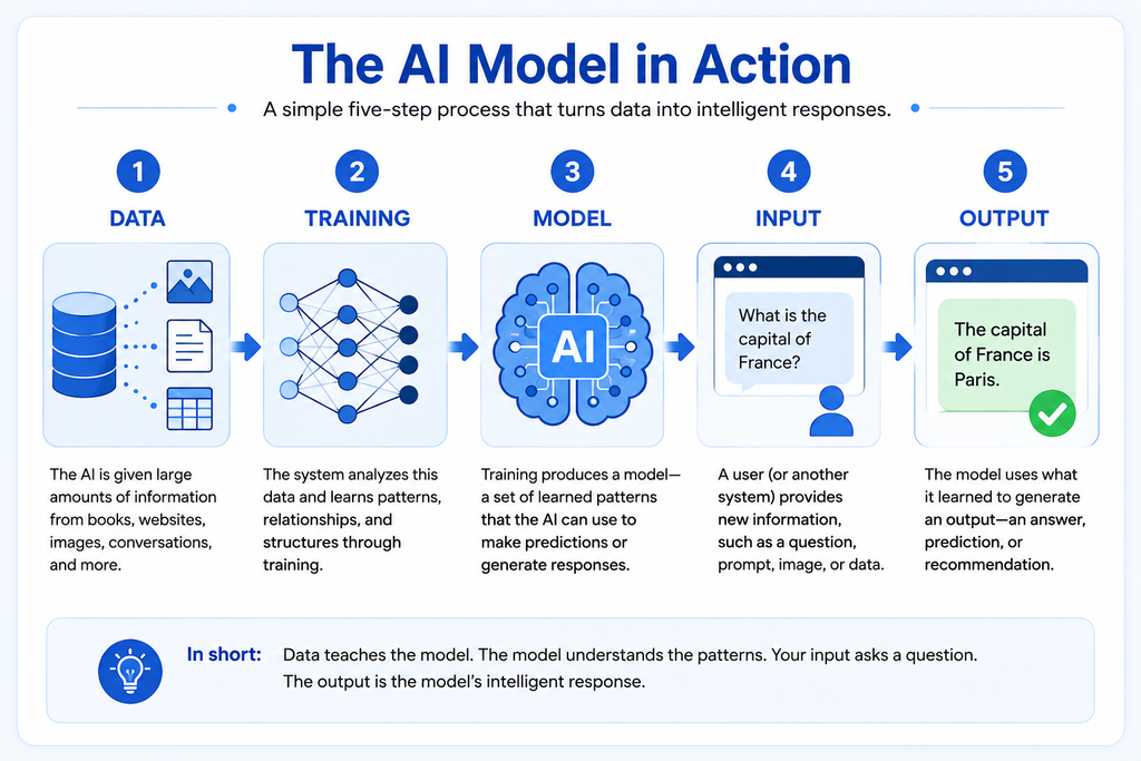 How AI models work through data, training, model, input, and output
